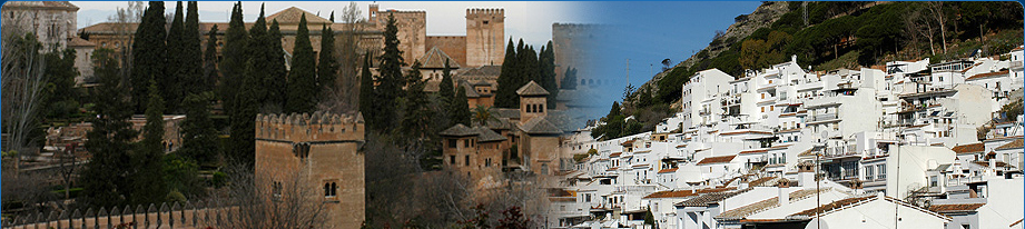 Catholic Pilgrimages since 1957